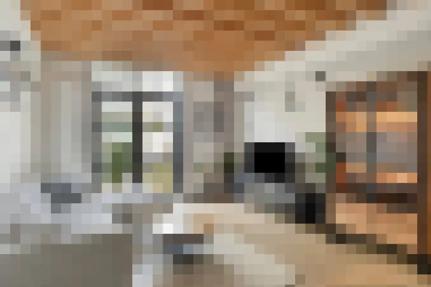 Pasteurstraat 127 Leiden thumbnail 17