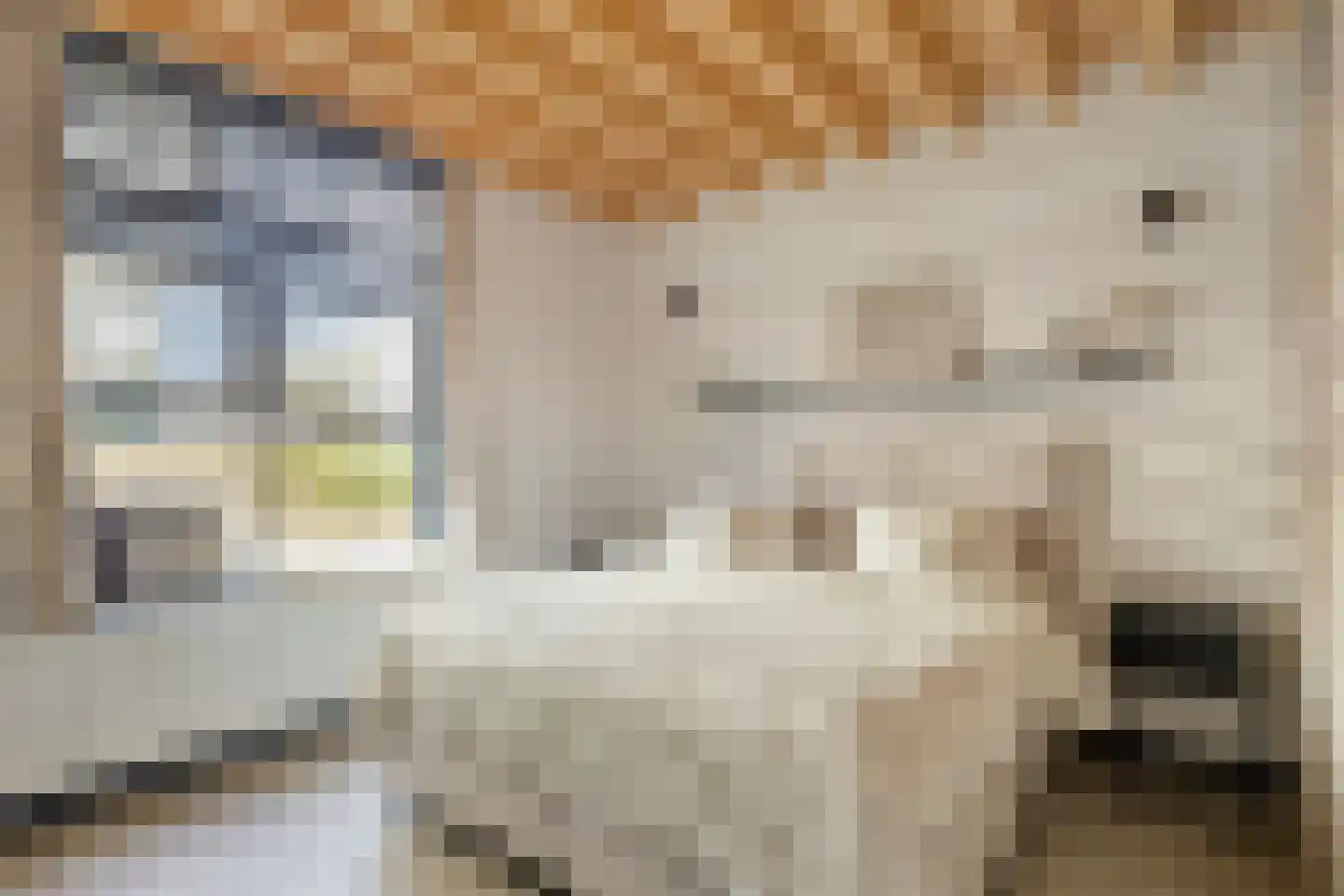 Pasteurstraat 127 Leiden thumbnail 6