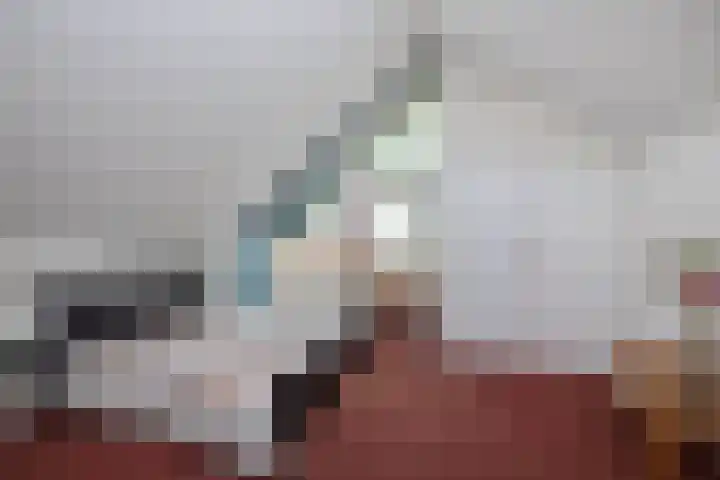Pasteurstraat 15 Hengelo thumbnail 21