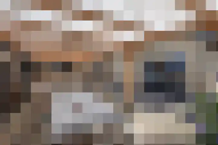 Pasteurstraat 15 Hengelo thumbnail 26