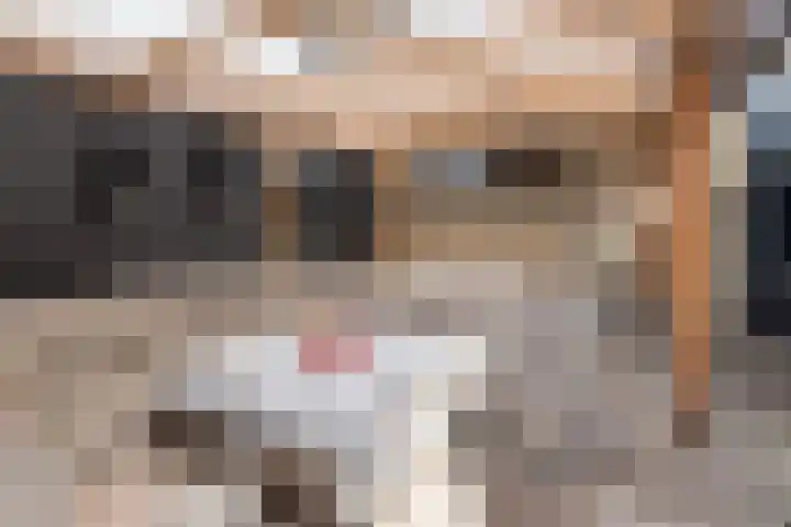 Pasteurstraat 15 Hengelo thumbnail 27