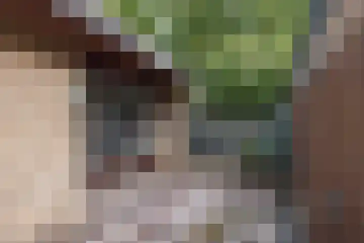 Pasteurstraat 15 Hengelo thumbnail 30