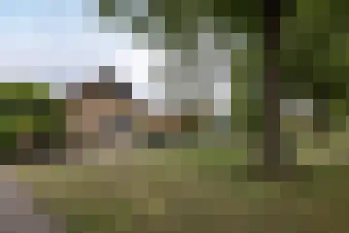 Pasteurstraat 15 Hengelo thumbnail 34