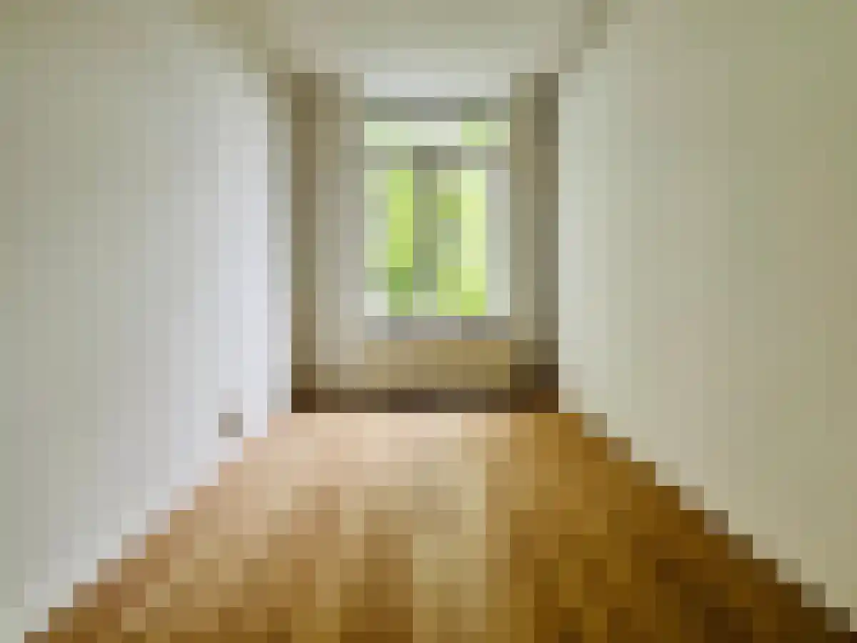 Pasteurstraat 150 Den Haag thumbnail 6