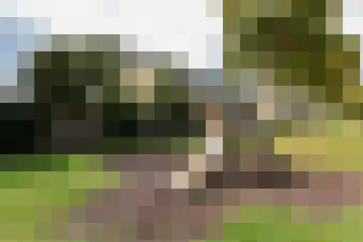 Pasteurstraat 155 Den Helder thumbnail 22