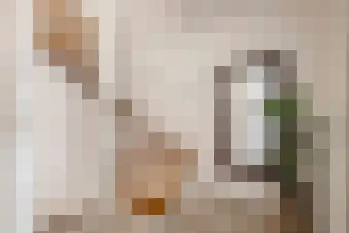 Pasteurstraat 155 Den Helder thumbnail 23