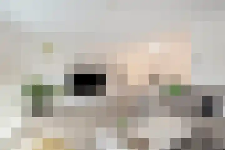 Pasteurstraat 155 Den Helder thumbnail 32