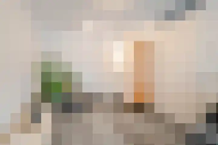 Pasteurstraat 155 Den Helder thumbnail 37
