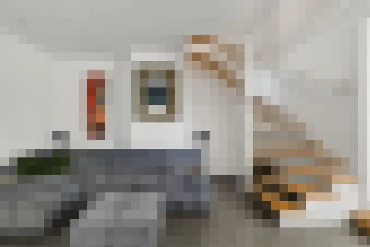 Pasteurstraat 159 Den Helder thumbnail 11