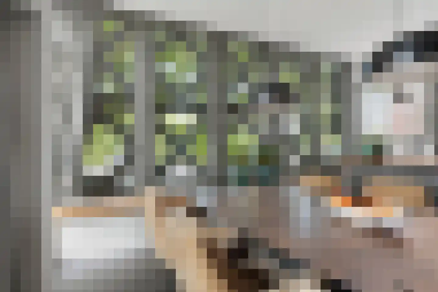 Pasteurstraat 159 Den Helder thumbnail 14