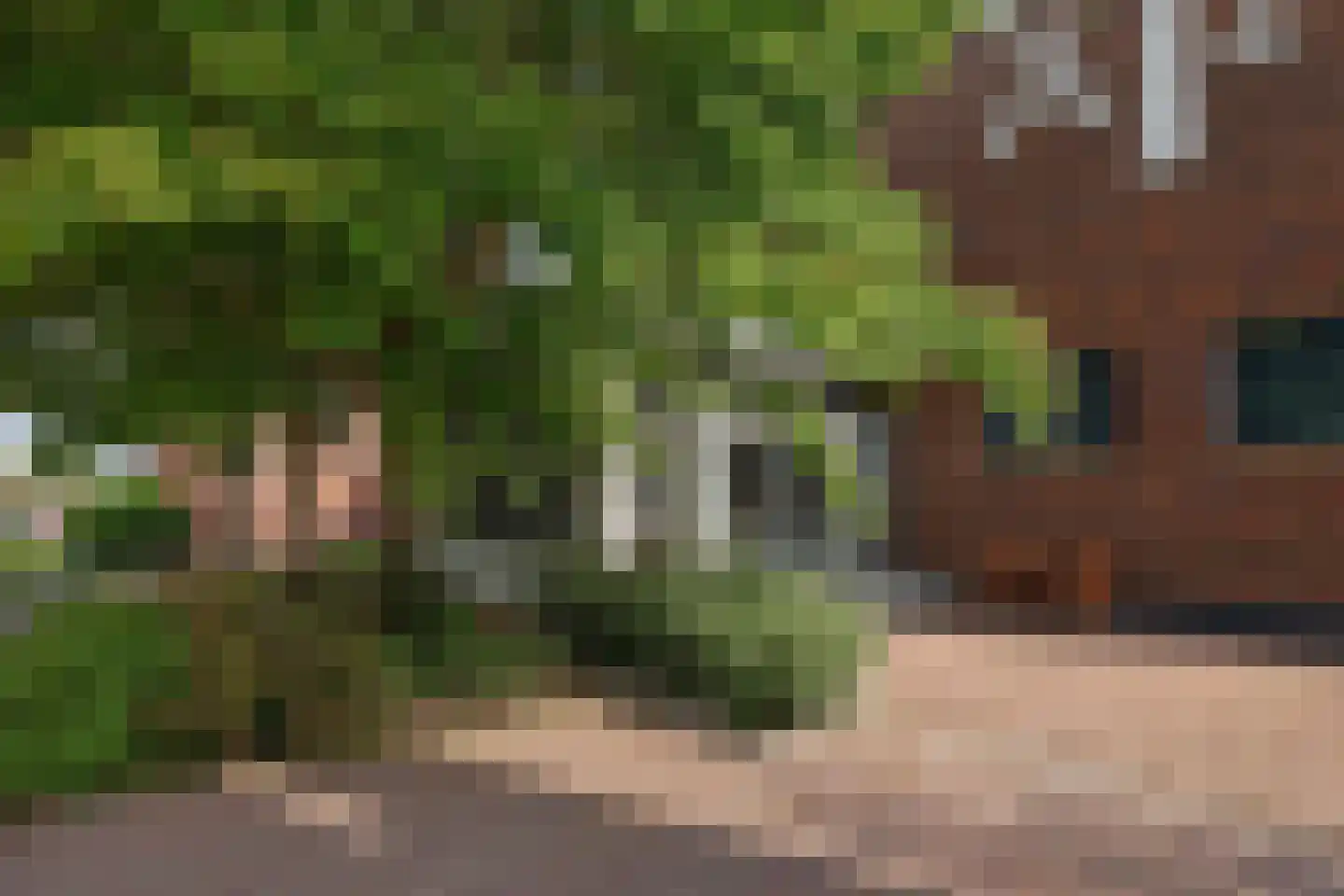 Pasteurstraat 159 Den Helder thumbnail 6