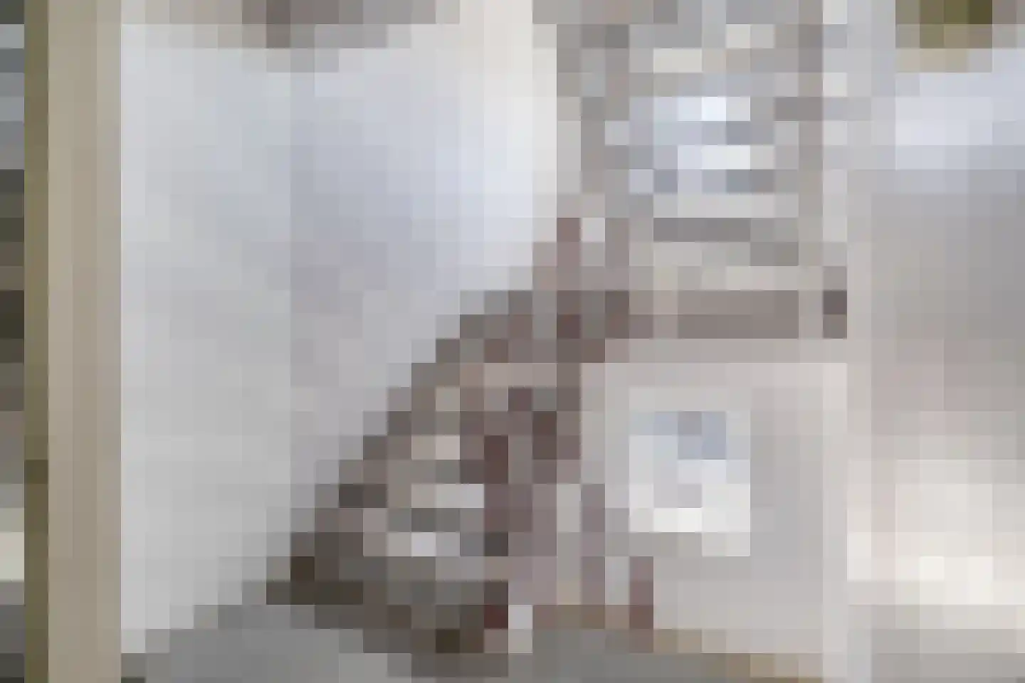 Pasteurstraat 19 Den Helder thumbnail 4