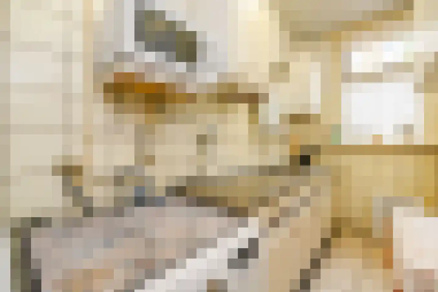 Pasteurstraat 198 Den Haag thumbnail 9