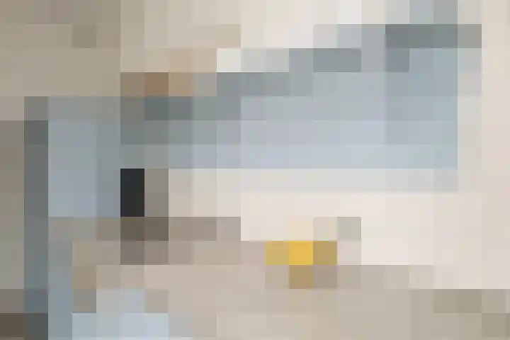 Pasteurstraat 21 Amersfoort thumbnail 16