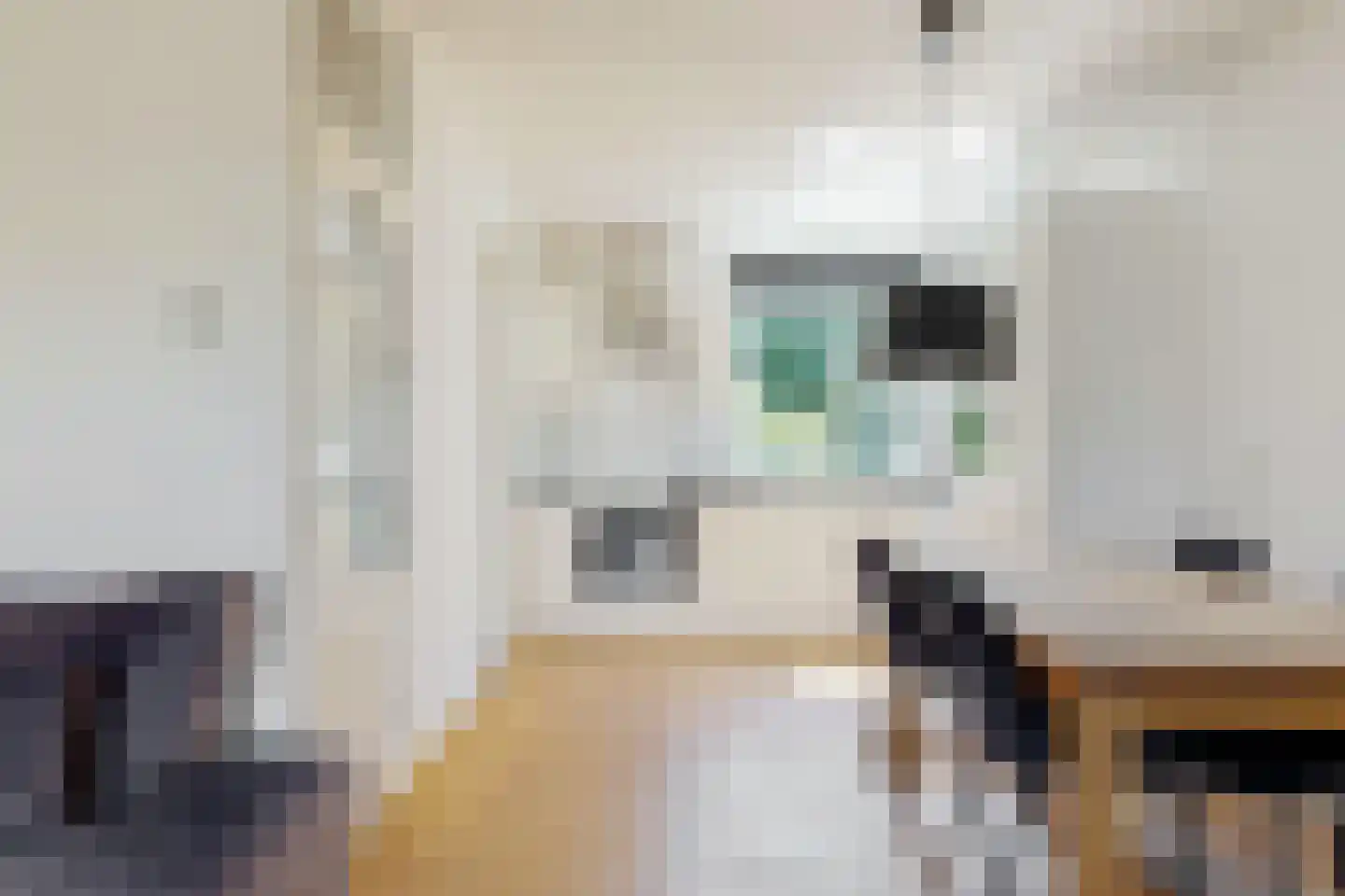 Pasteurstraat 22 Kudelstaart thumbnail 6
