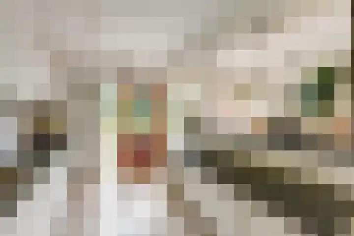 Pasteurstraat 27 Hengelo thumbnail 17