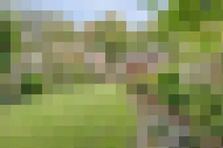 Pasteurstraat 27 Hengelo thumbnail 33
