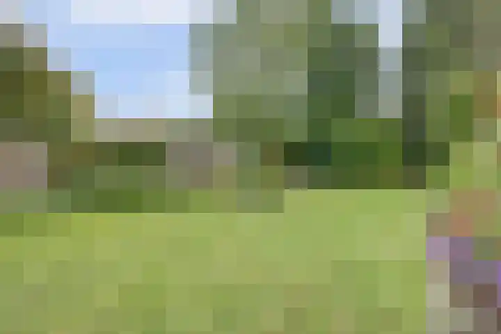 Pasteurstraat 27 Hengelo thumbnail 38