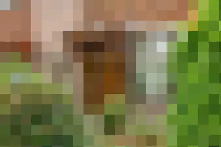 Pasteurstraat 27 Hengelo thumbnail 5