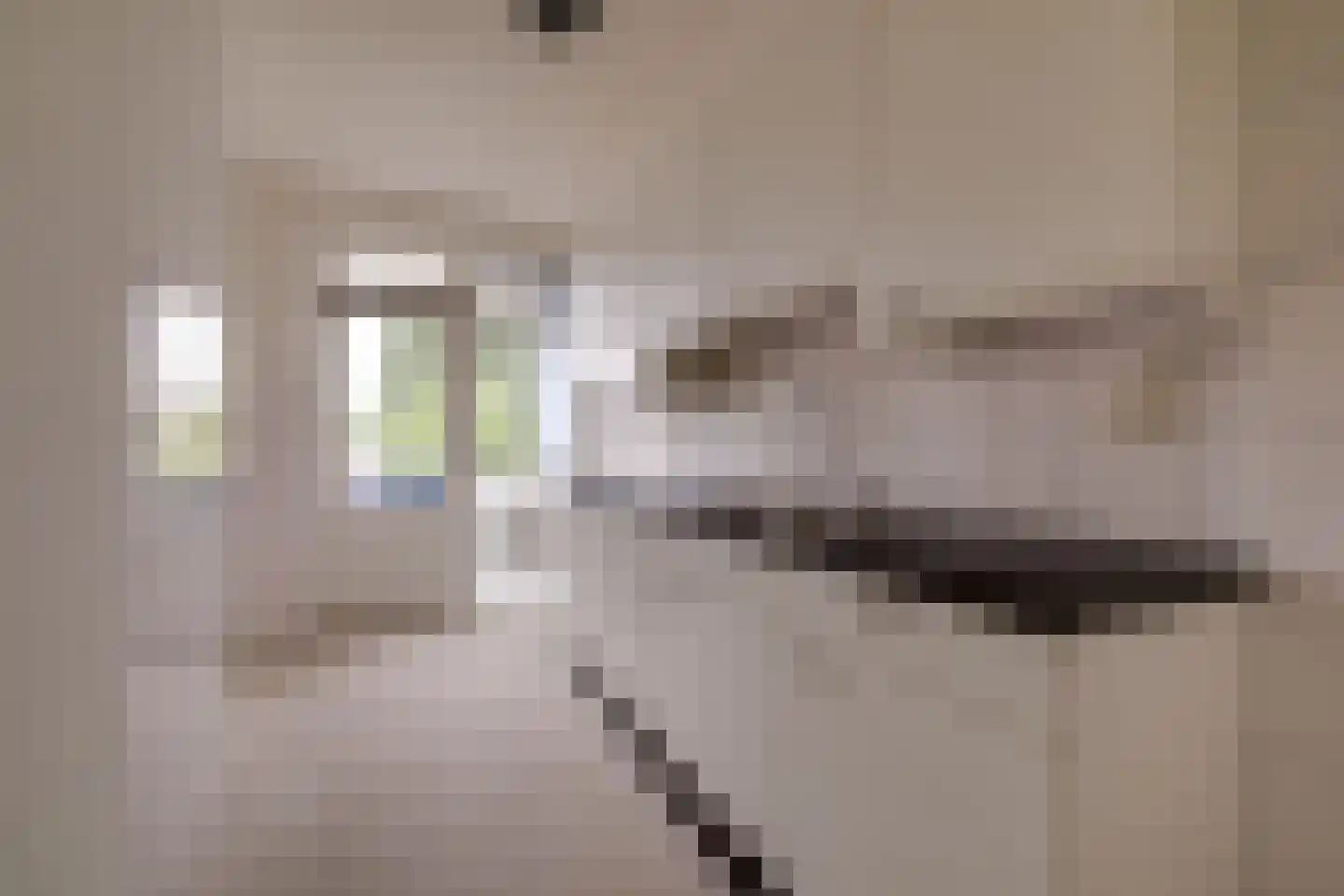Pasteurstraat 28 Apeldoorn thumbnail 12