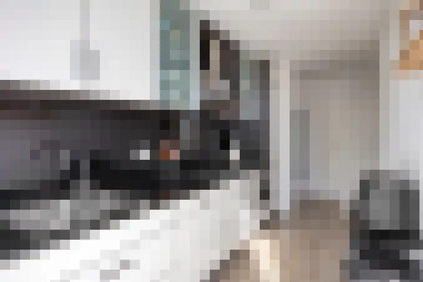 Pasteurstraat 31 Den Helder thumbnail 14