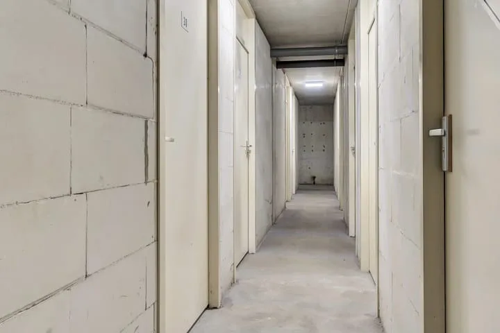 Pasteurstraat 31 Dieren thumbnail 27