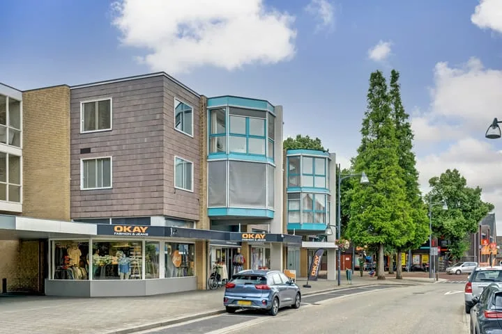 Pasteurstraat 31 Dieren thumbnail 29