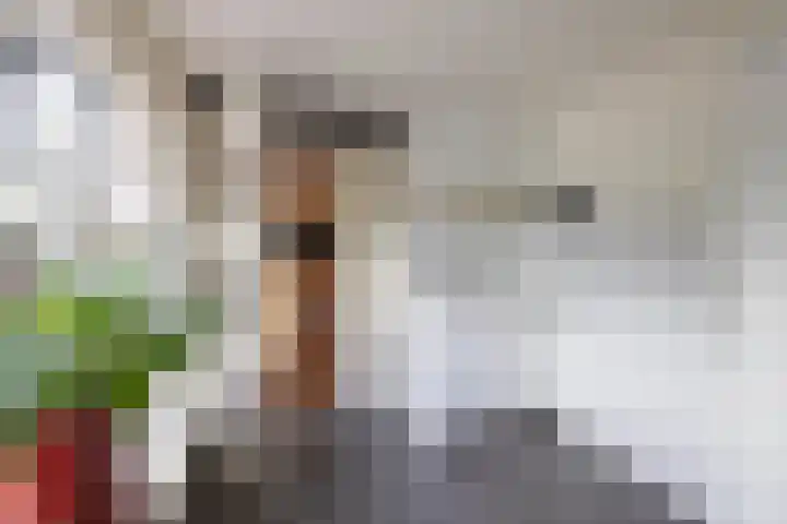 Pasteurstraat 31 Hengelo thumbnail 13