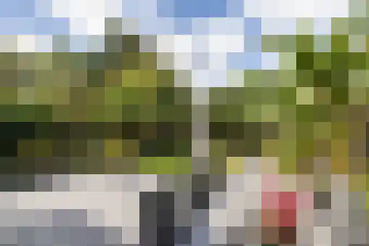 Pasteurstraat 31 Hengelo thumbnail 26