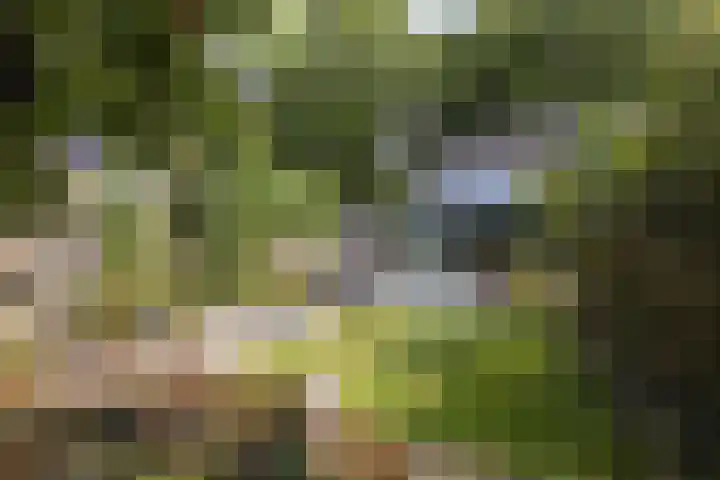 Pasteurstraat 31 Hengelo thumbnail 32