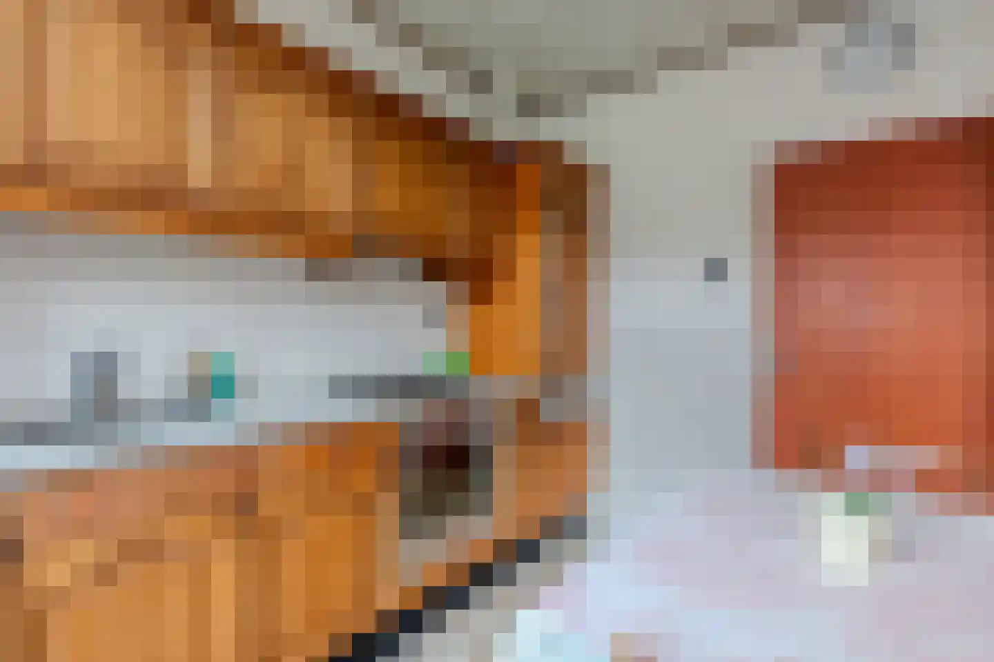 Pasteurstraat 31 Hoogerheide thumbnail 12