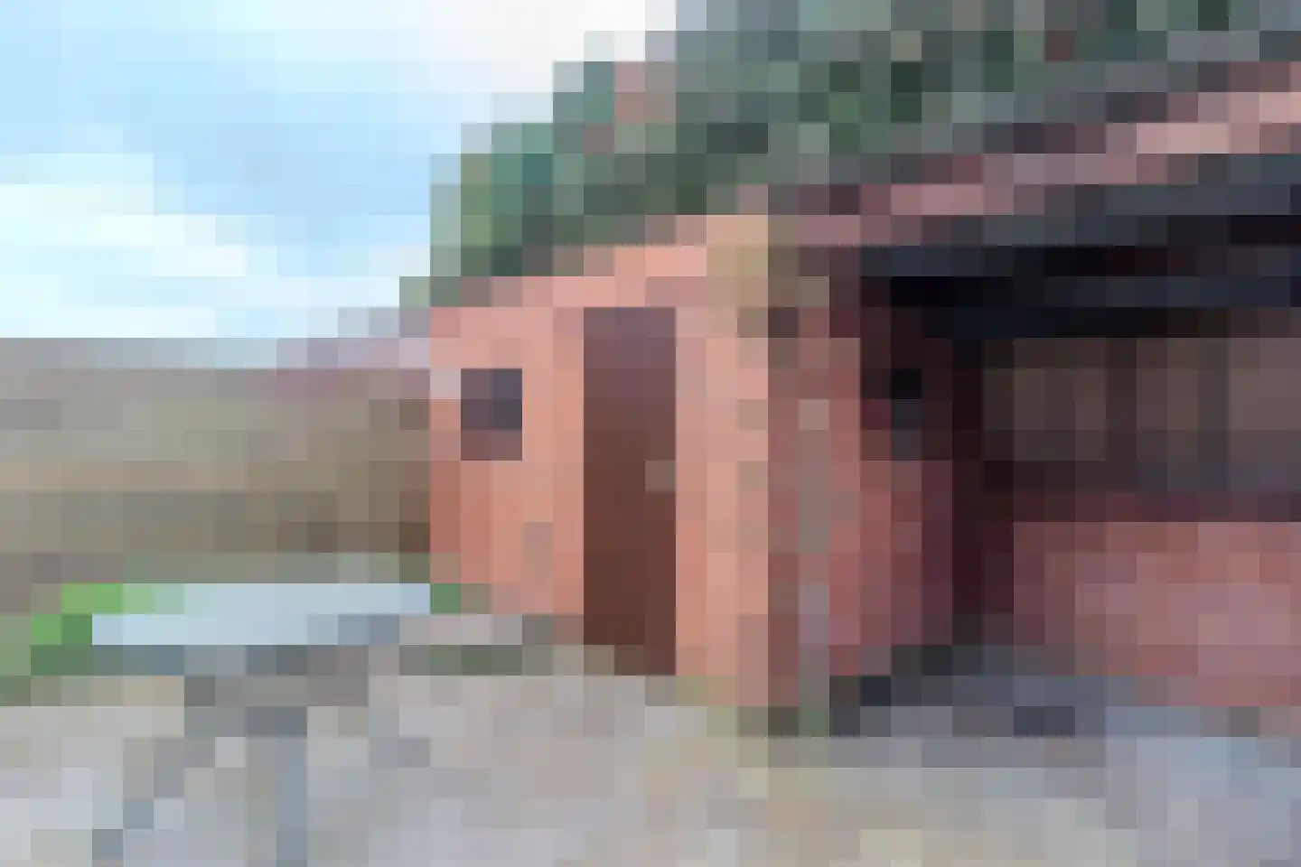 Pasteurstraat 31 Hoogerheide thumbnail 28