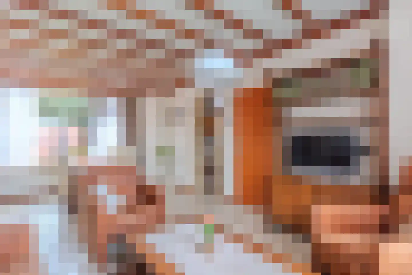 Pasteurstraat 31 Hoogerheide thumbnail 5