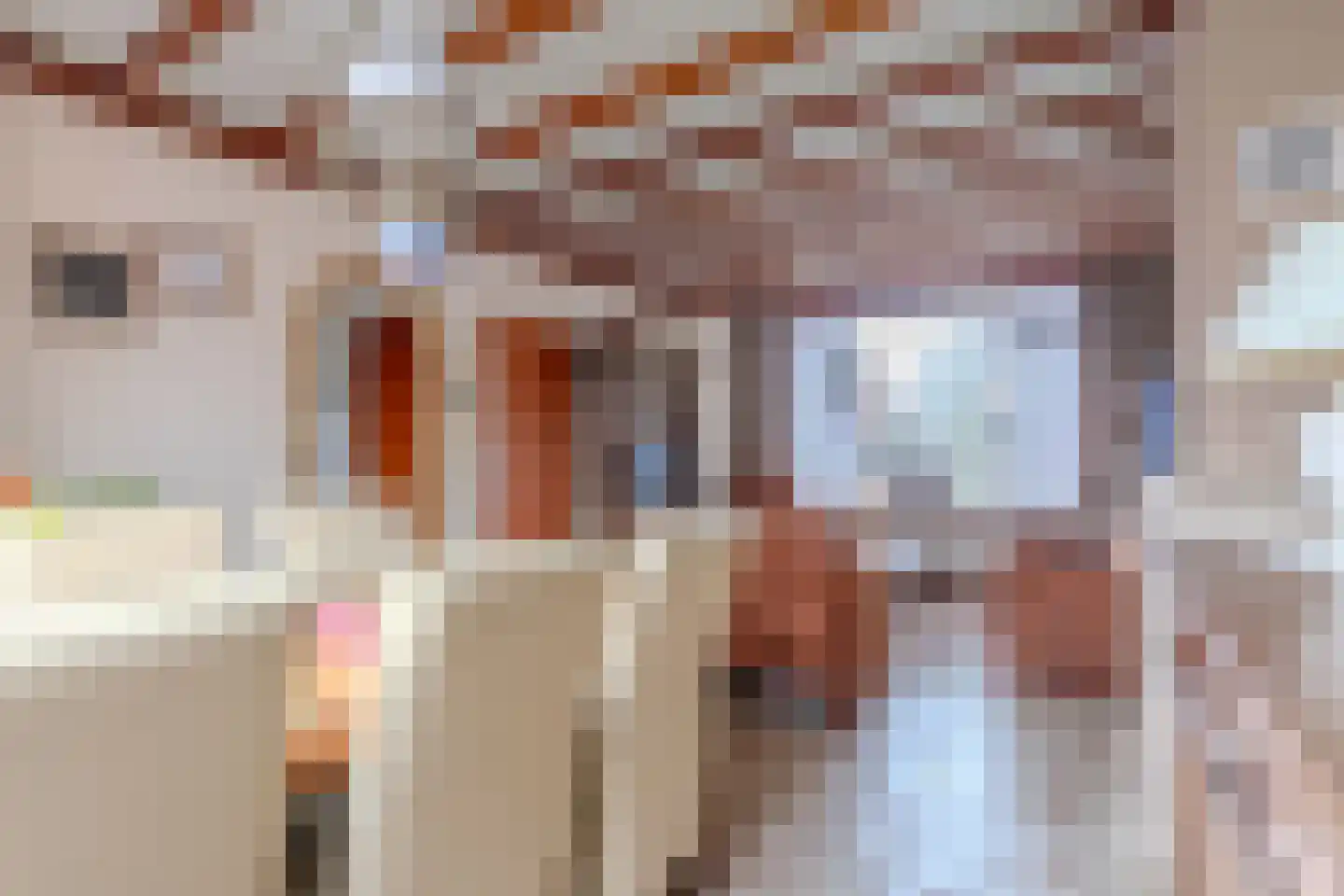 Pasteurstraat 31 Hoogerheide thumbnail 8