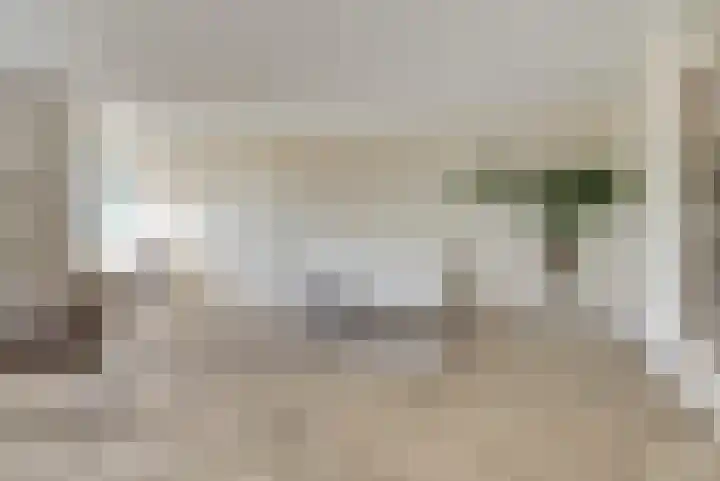 Pasteurstraat 33 Dieren thumbnail 10