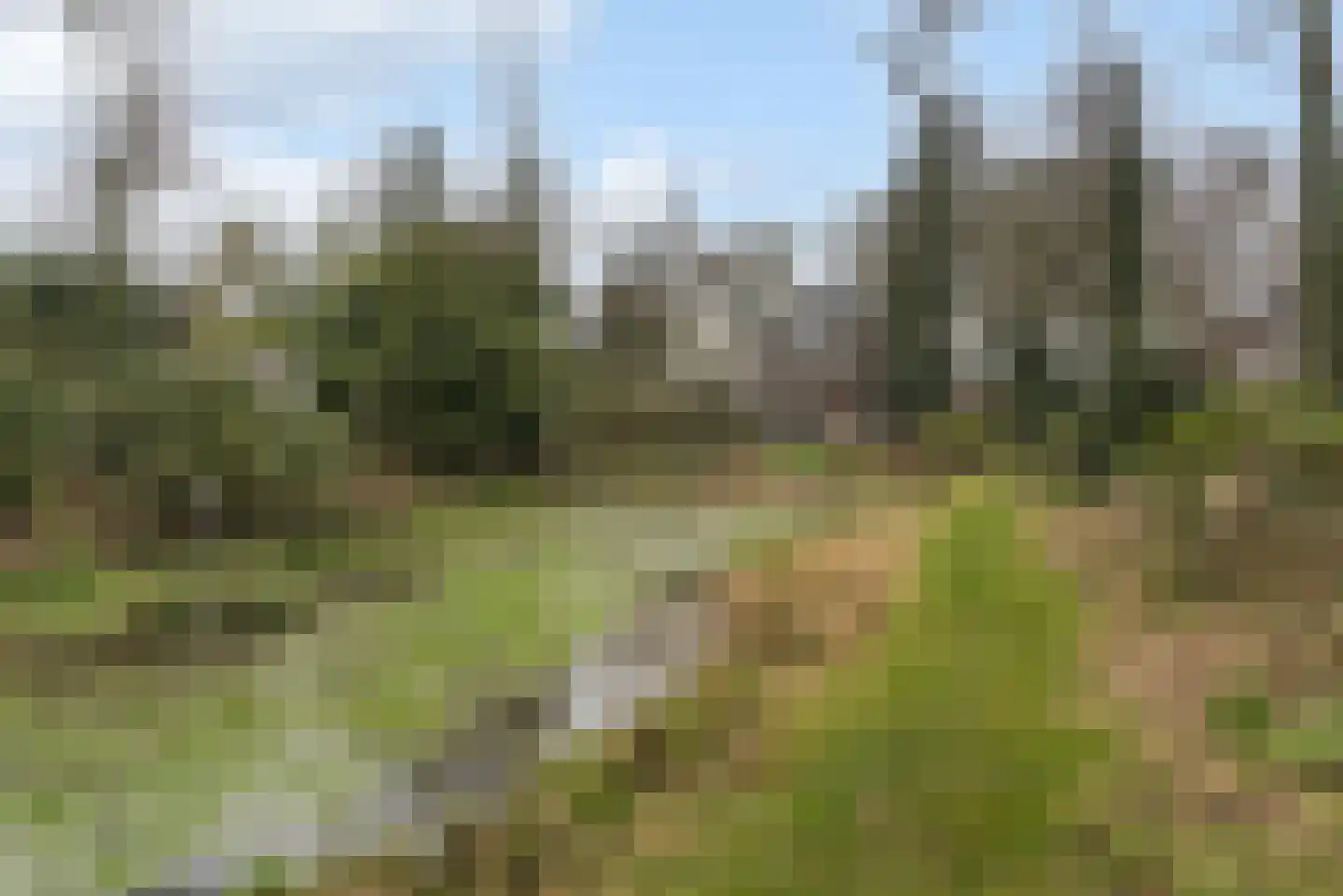 Pasteurstraat 33 Dieren thumbnail 14