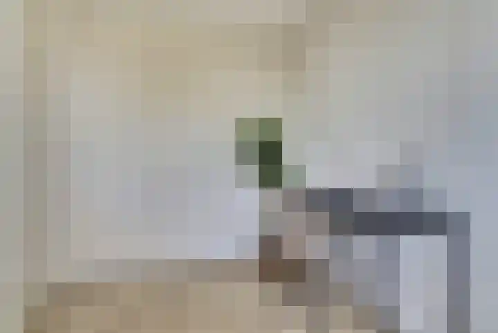 Pasteurstraat 33 Dieren thumbnail 18