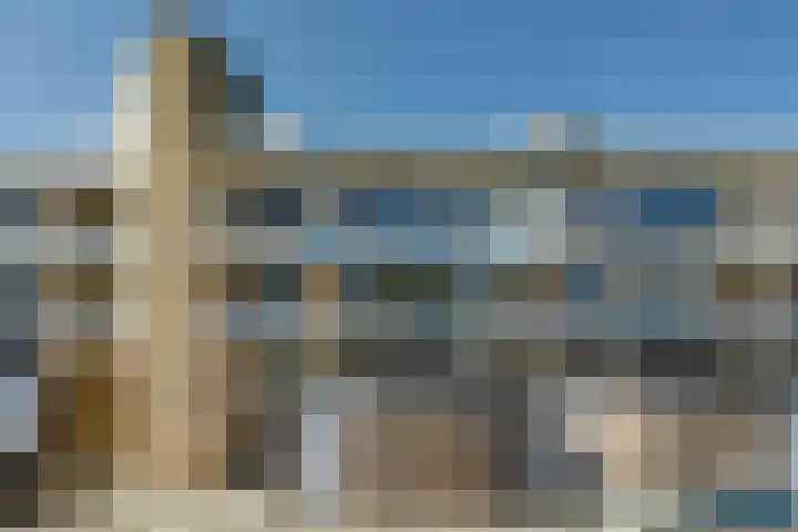 Pasteurstraat 33 Dieren foto 2