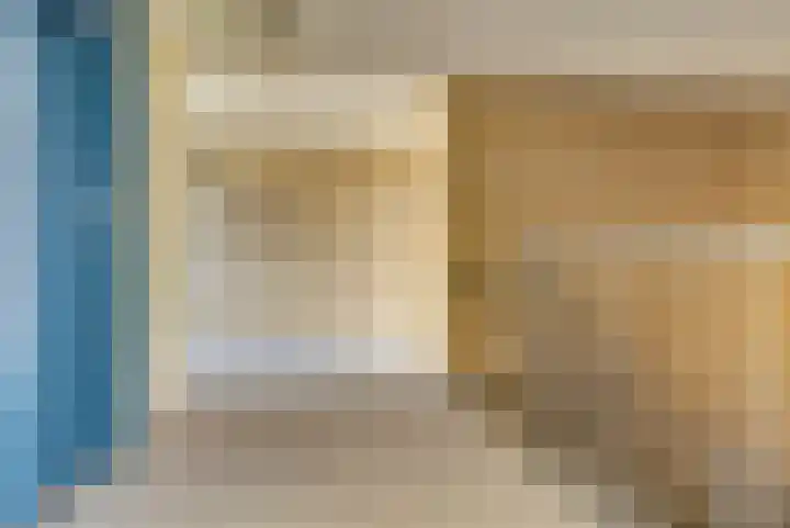 Pasteurstraat 33 Dieren thumbnail 23