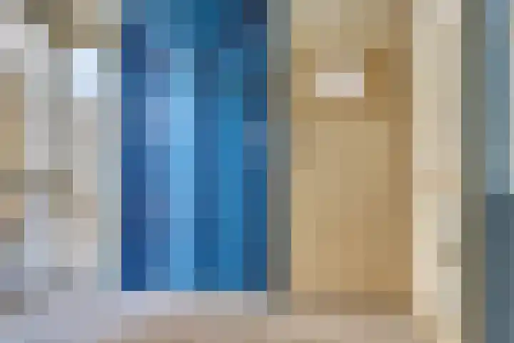 Pasteurstraat 33 Dieren thumbnail 4