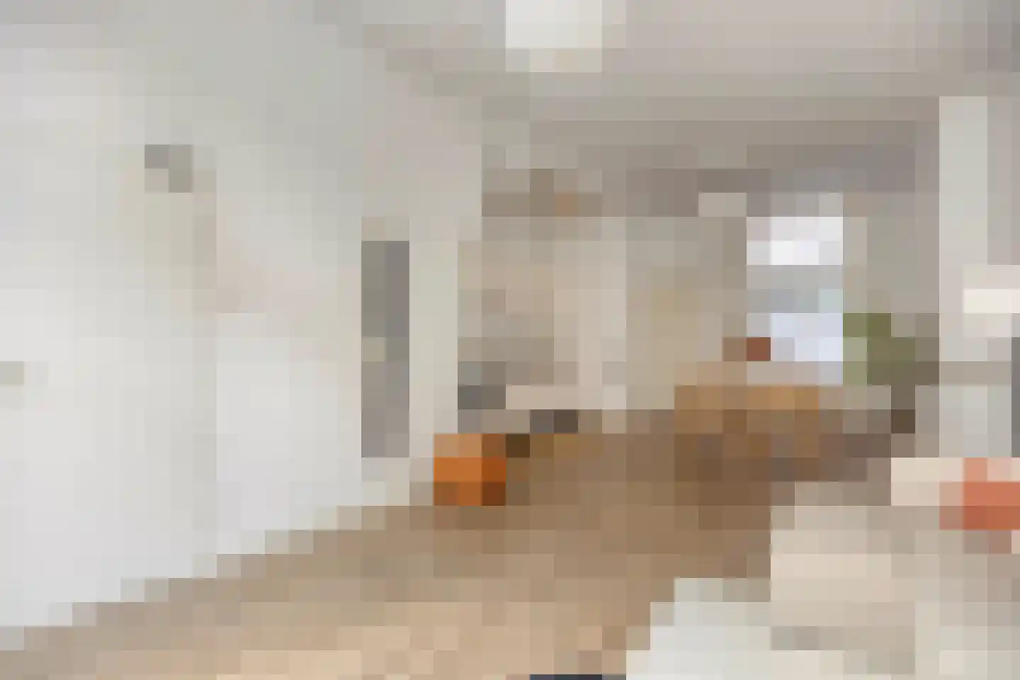 Pasteurstraat 4 Leiden thumbnail 5