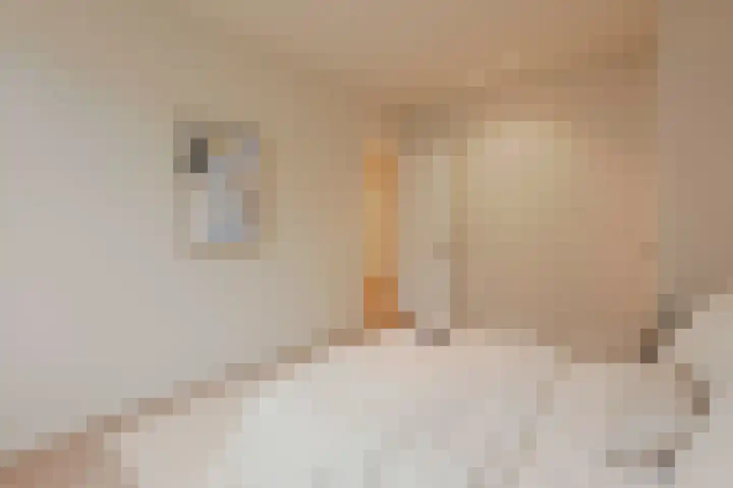 Pasteurstraat 45 Amsterdam thumbnail 18