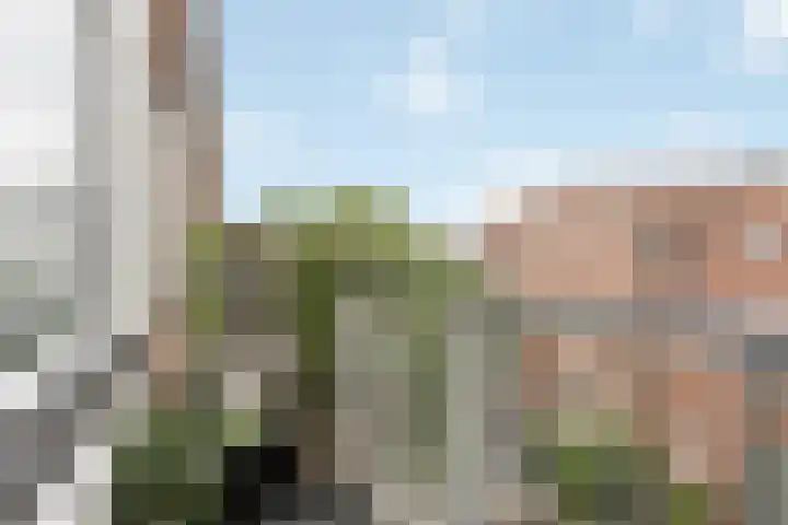 Pasteurstraat 55 Den Haag thumbnail 9