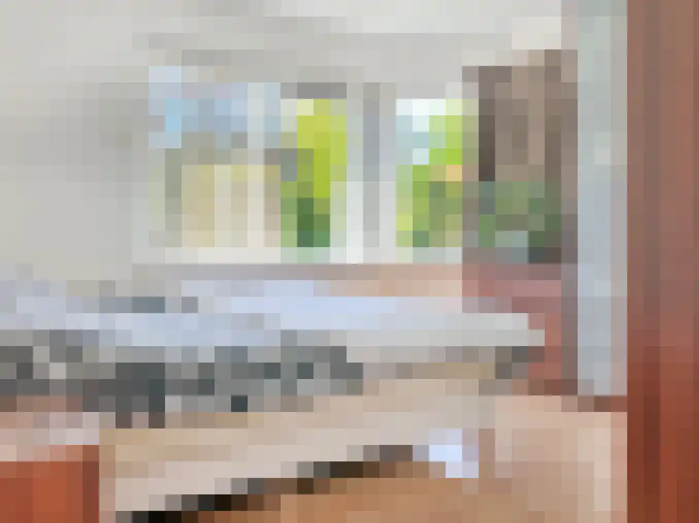 Pasteurstraat 6 Badhoevedorp thumbnail 12