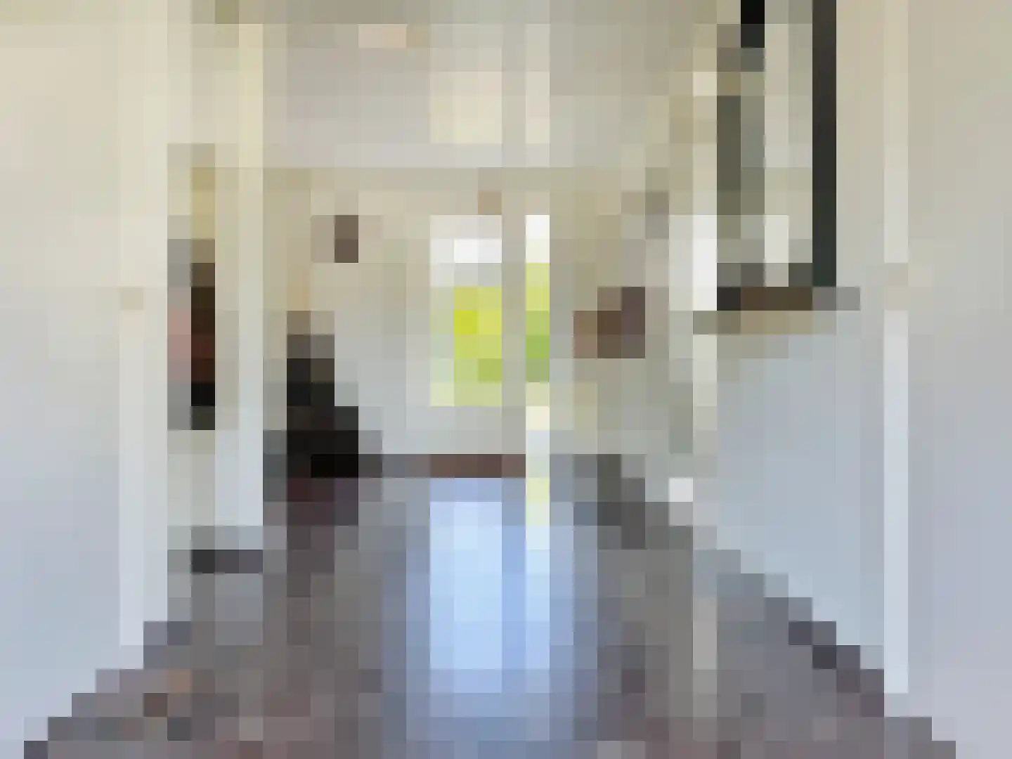 Pasteurstraat 6 Badhoevedorp thumbnail 16