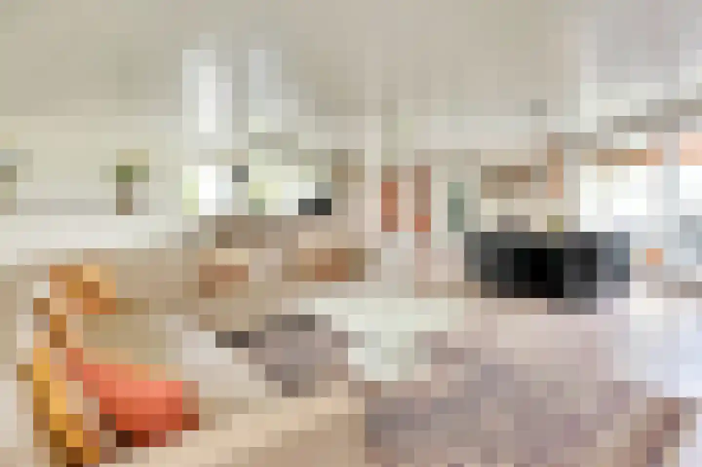 Pasteurstraat 6 Badhoevedorp thumbnail 4