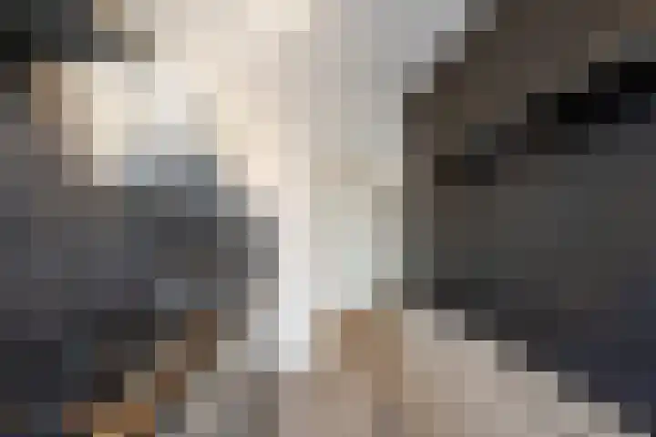 Pasteurstraat 77 Den Helder thumbnail 15
