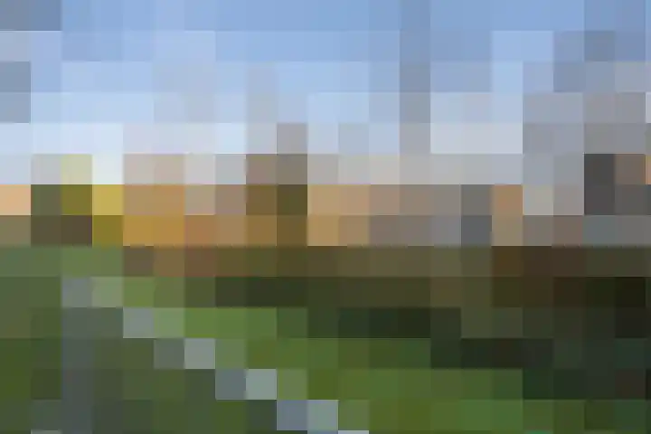 Pasteurstraat 77 Den Helder thumbnail 17