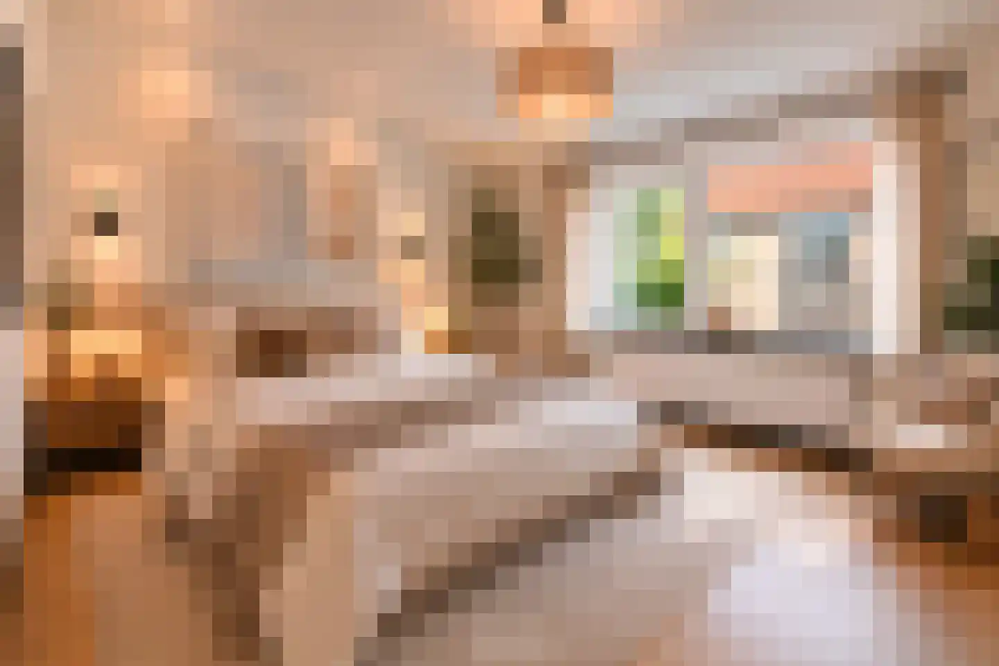 Pasteurstraat 8 Geleen thumbnail 16