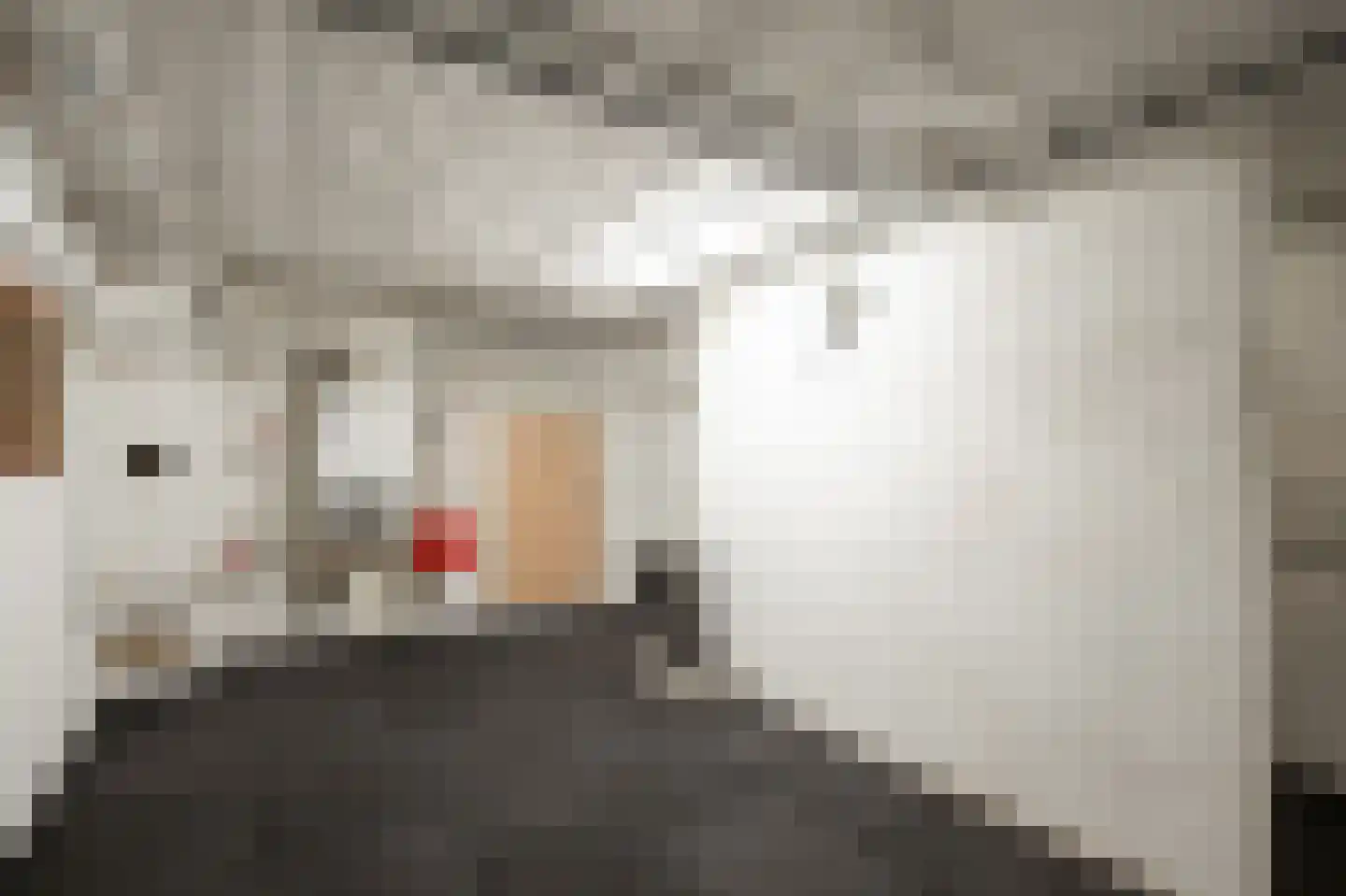 Pasteurstraat 8 Geleen thumbnail 21